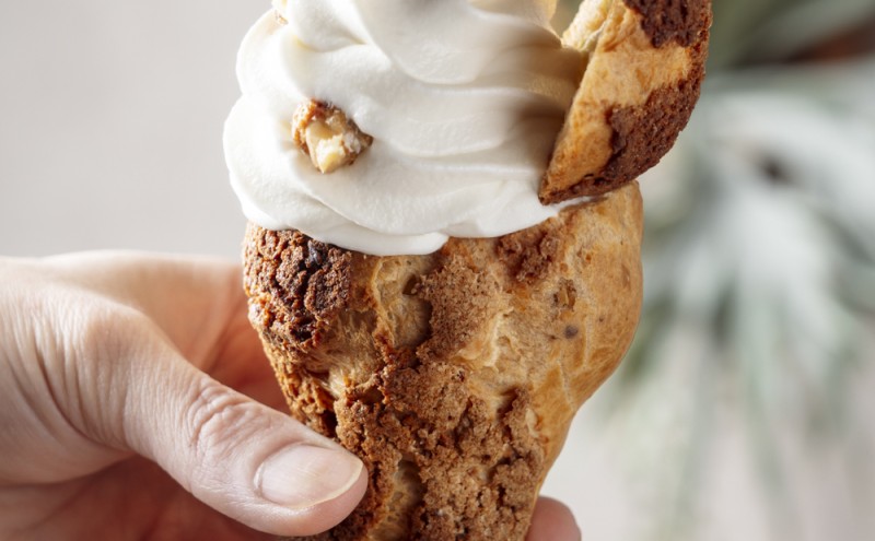 シューソフトはじまりました！